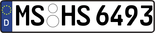 MS-HS6493