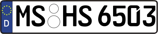 MS-HS6503