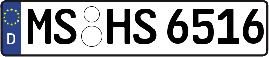 MS-HS6516