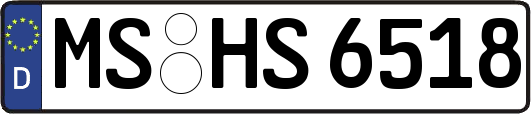 MS-HS6518