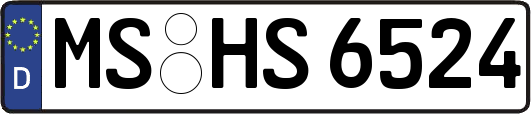 MS-HS6524