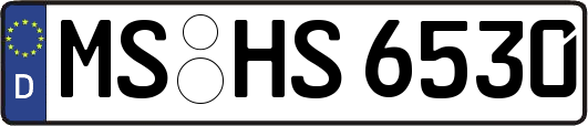 MS-HS6530