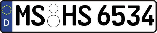 MS-HS6534