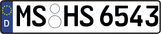 MS-HS6543