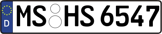 MS-HS6547