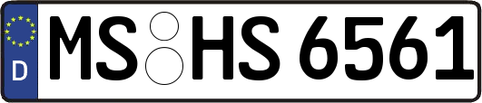MS-HS6561