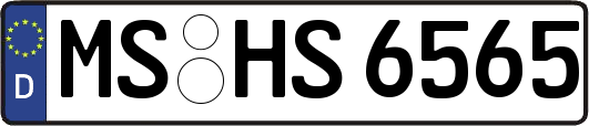 MS-HS6565