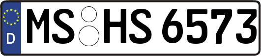 MS-HS6573