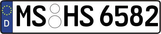 MS-HS6582
