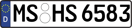 MS-HS6583