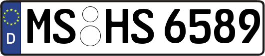 MS-HS6589