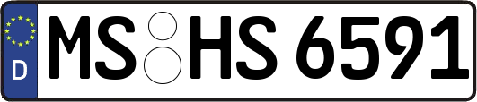 MS-HS6591