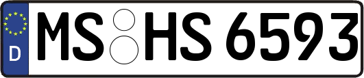 MS-HS6593