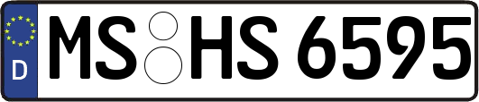 MS-HS6595