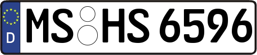 MS-HS6596
