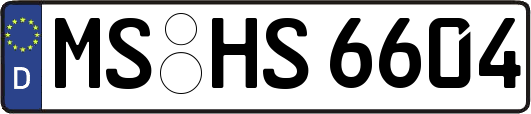 MS-HS6604