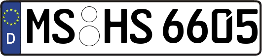 MS-HS6605