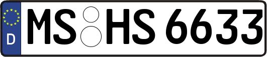 MS-HS6633