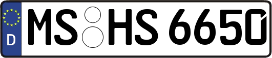 MS-HS6650