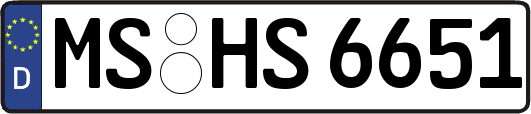 MS-HS6651