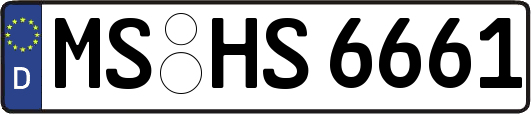 MS-HS6661