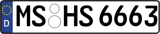 MS-HS6663