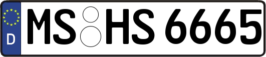 MS-HS6665