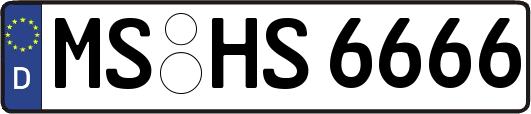 MS-HS6666