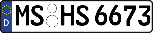 MS-HS6673