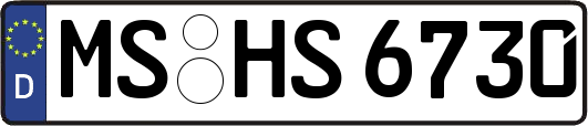 MS-HS6730