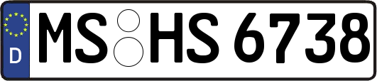 MS-HS6738