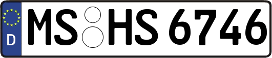 MS-HS6746