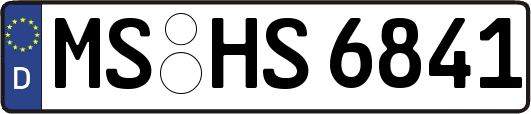 MS-HS6841