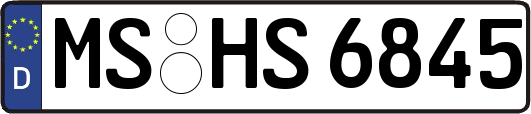 MS-HS6845