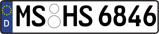MS-HS6846