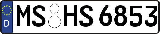 MS-HS6853