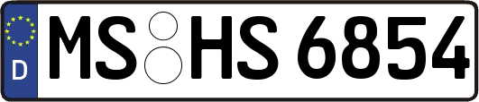 MS-HS6854