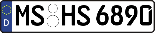 MS-HS6890