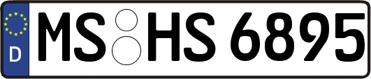MS-HS6895