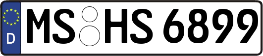MS-HS6899
