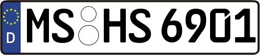 MS-HS6901