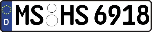 MS-HS6918