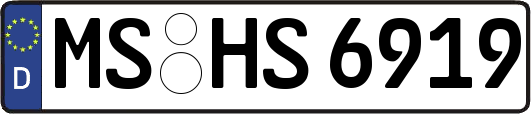 MS-HS6919