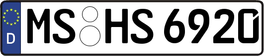 MS-HS6920