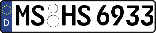 MS-HS6933