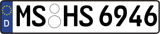 MS-HS6946
