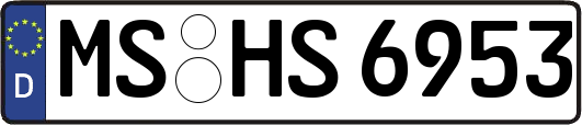 MS-HS6953