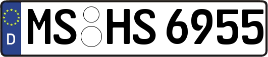 MS-HS6955