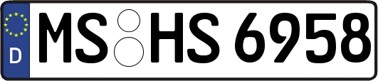 MS-HS6958