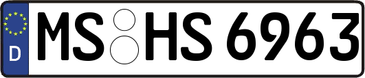 MS-HS6963